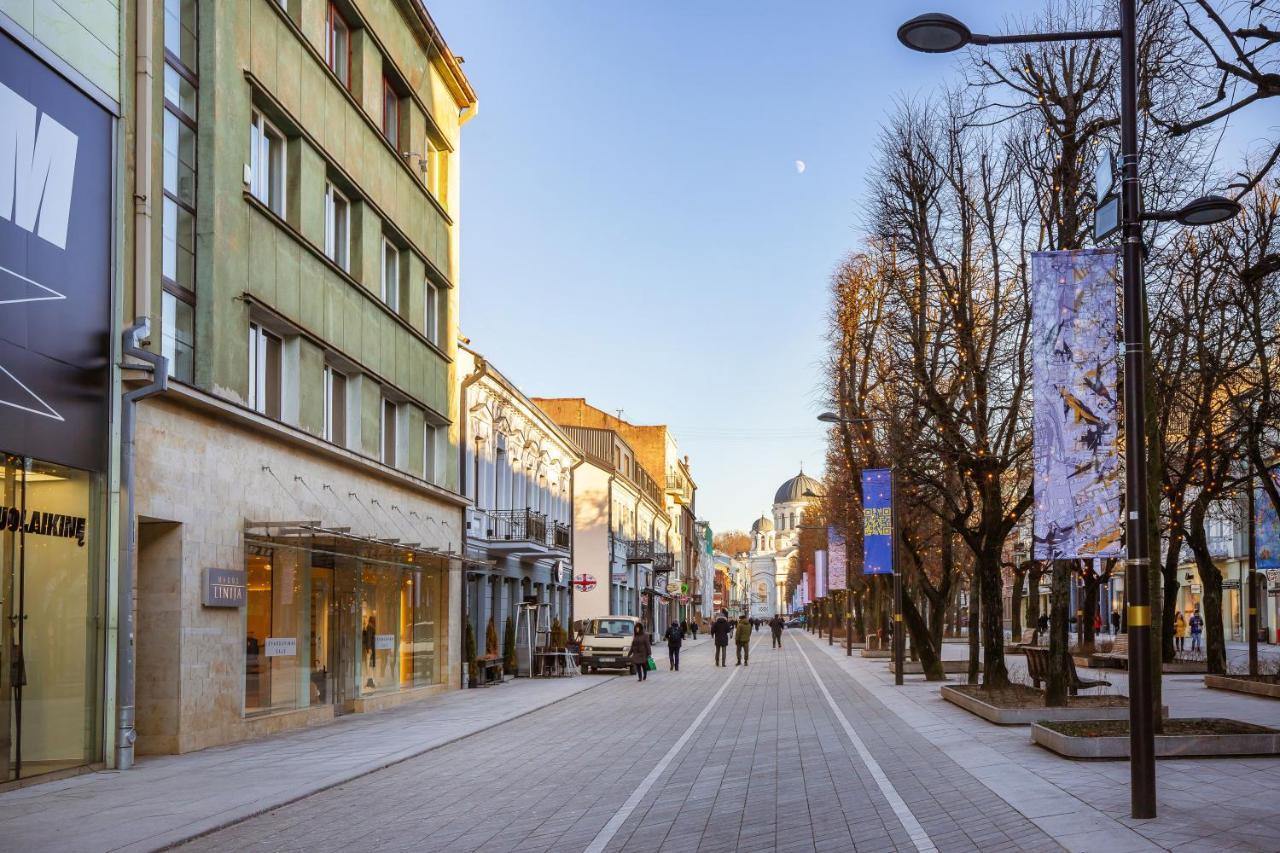 Art & Comfort Home Kaunas Buitenkant foto